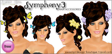 symphonyhair-extensions3_accessoriesthumb1.jpg